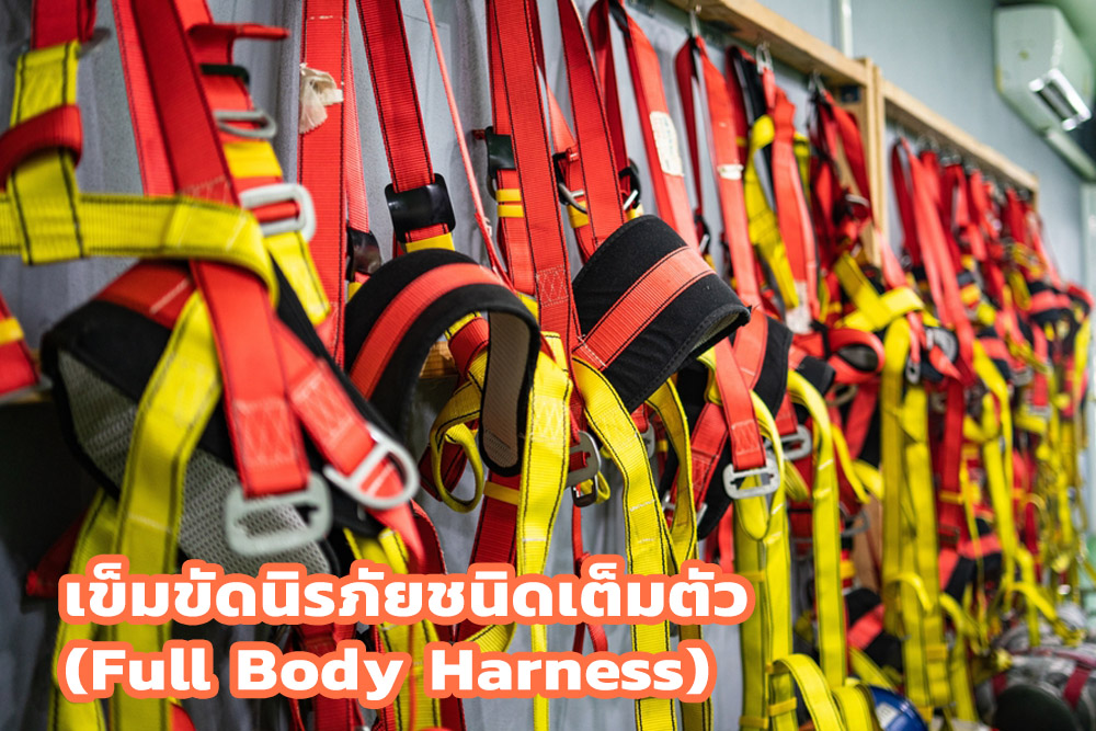 Full Body Harness