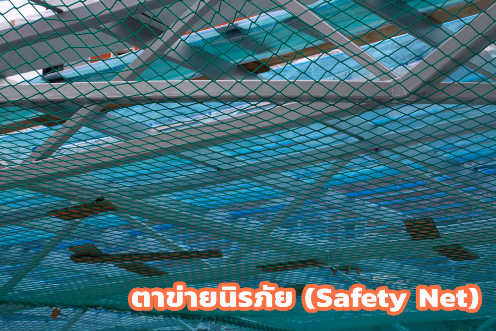 ตาข่ายนิรภัย (Safety Net)